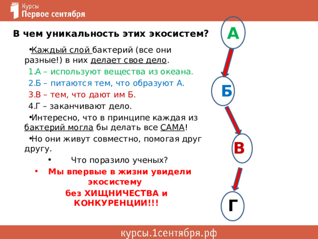 А В чем уникальность этих экосистем?   Б   В   Г Каждый слой бактерий (все они разные!) в них делает свое дело . А – используют вещества из океана. Б – питаются тем, что образуют А. В – тем, что дают им Б. Г – заканчивают дело. Интересно, что в принципе каждая из бактерий могла бы делать все САМА ! Но они живут совместно, помогая друг другу. Что поразило ученых? Мы впервые в жизни увидели экосистему без ХИЩНИЧЕСТВА и КОНКУРЕНЦИИ!!! 