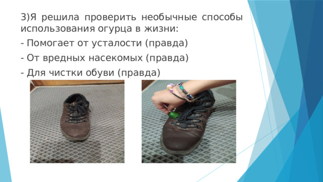 3)Я решила проверить необычные способы использования огурца в жизни: - Помогает от усталости (правда) - От вредных насекомых (правда) - Для чистки обуви (правда) 