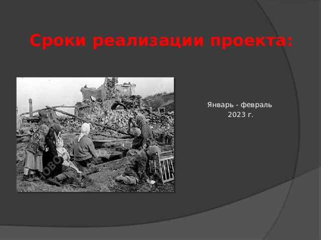 Сроки реализации проекта: Январь - февраль 2023 г. 