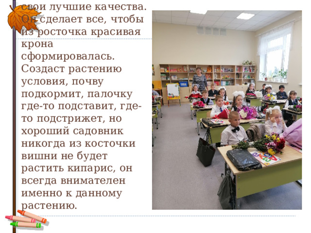  Грамотный садовник помогает растению проявить свои лучшие качества. Он сделает все, чтобы из росточка красивая крона сформировалась. Создаст растению условия, почву подкормит, палочку где-то подставит, где-то подстрижет, но хороший садовник никогда из косточки вишни не будет растить кипарис, он всегда внимателен именно к данному растению. 