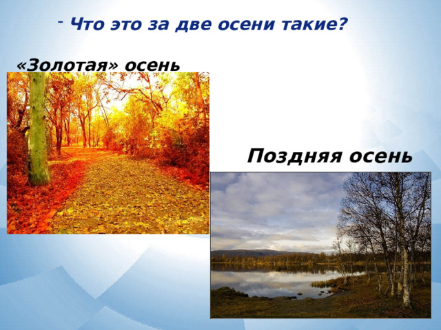 Что это за две осени такие?  «Золотая» осень Поздняя осень 