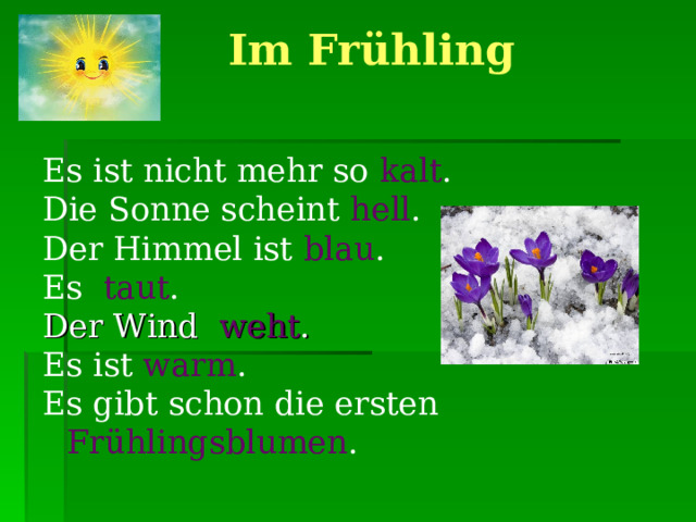  Im Frühling   Es ist nicht mehr so  kalt . Die Sonne scheint hell . Der Himmel ist blau . Es taut . Der Wind weht . Es ist warm . Es gibt schon die ersten Frühlingsblumen . 