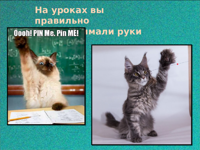 На уроках вы правильно  поднимали руки 