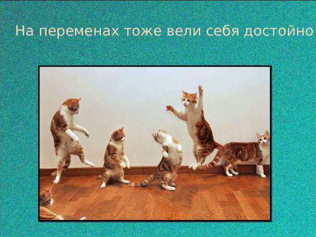 На переменах тоже вели себя достойно 