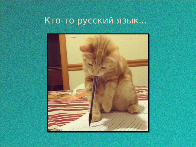  Кто-то русский язык… 