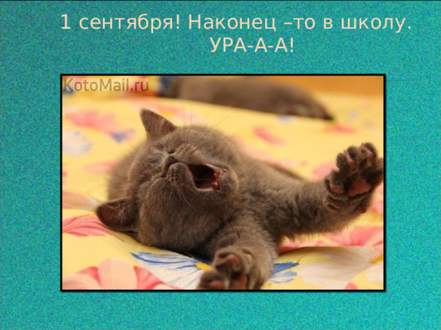  1 сентября! Наконец –то в школу.  УРА-А-А! 