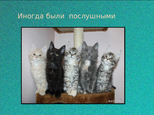 Иногда были послушными 