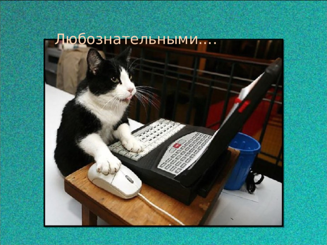  Любознательными….  