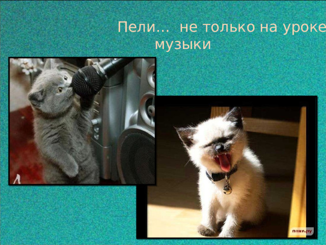  Пели… не только на уроке музыки 