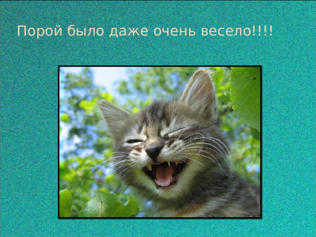 Порой было даже очень весело!!!! 