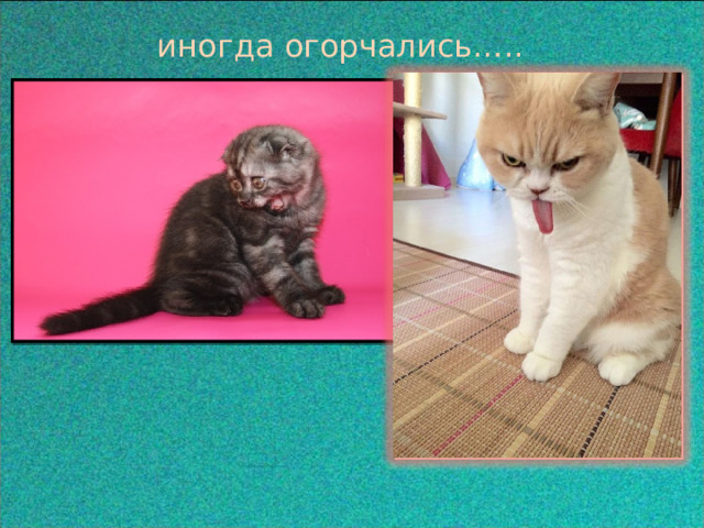  иногда огорчались….. 