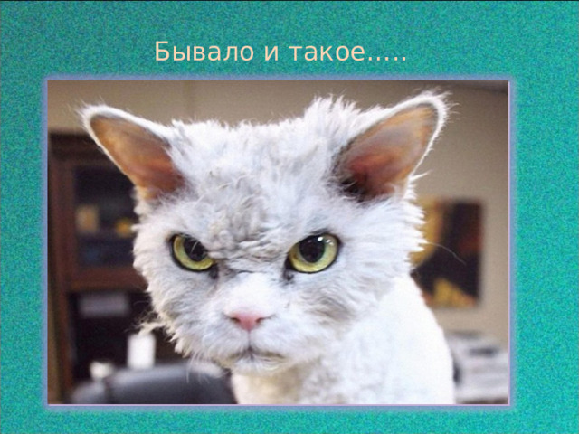  Бывало и такое….. 