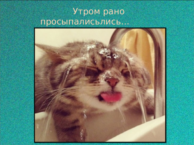  Утром рано просыпалисьлись… 