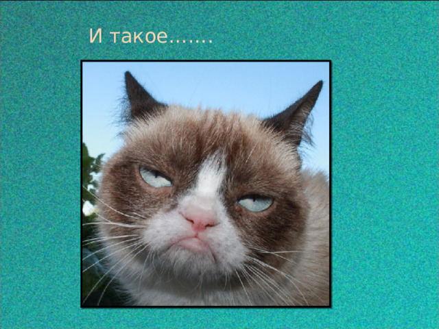И такое…….  