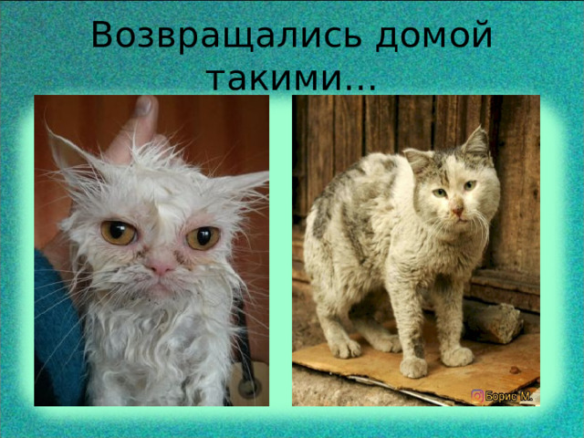 Возвращались домой такими… 