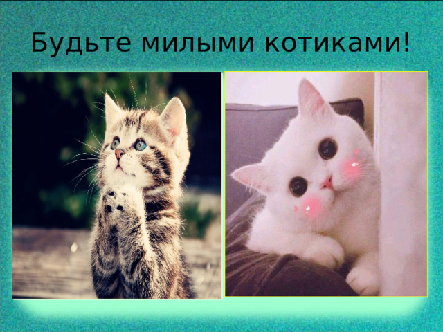 Будьте милыми котиками! 