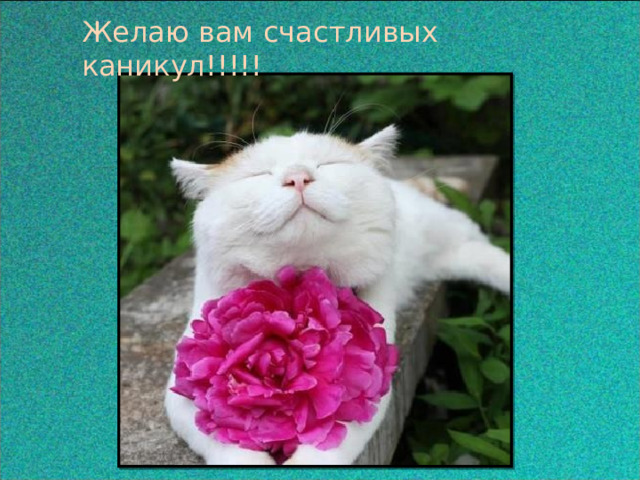 Желаю вам счастливых каникул!!!!!  
