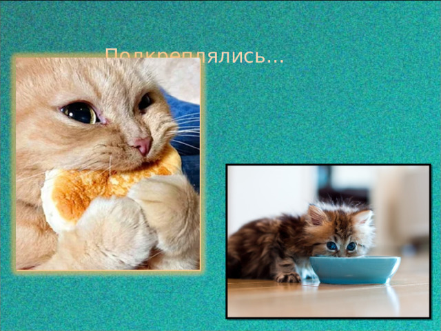  Подкреплялись…  