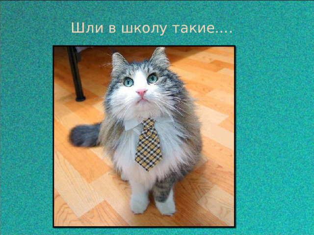  Шли в школу такие….  