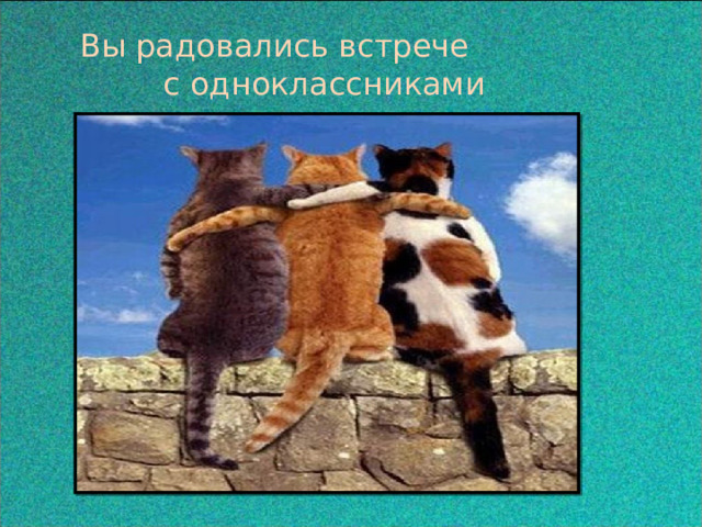 Вы радовались встрече с одноклассниками 