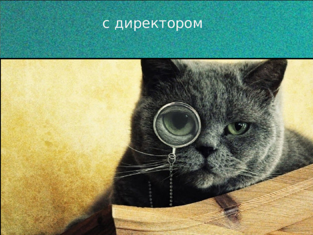 с директором 