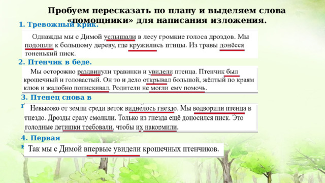 Пробуем пересказать по плану и выделяем слова «помощники» для написания изложения. Тревожный крик. 2. Птенчик в беде. 3. Птенец снова в гнезде. 4. Первая встреча . 