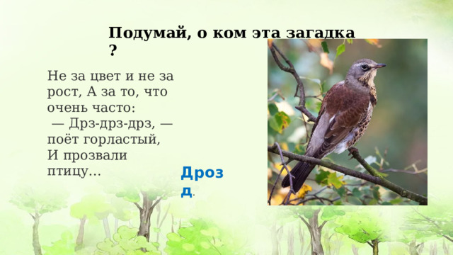 Подумай, о ком эта загадка ? Не за цвет и не за рост, А за то, что очень часто: — Дрз-дрз-дрз, — поёт горластый, И прозвали птицу… Дрозд . 