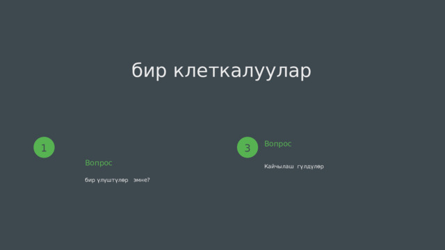 бир клеткалуулар Вопрос 3 1 Вопрос Кайчылаш гүлдүлөр бир үлүштүлөр эмне? 