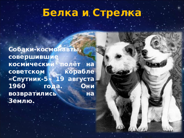 Белка и Стрелка Собаки-космонавты, совершившие космический полёт на советском корабле «Спутник-5» 19 августа 1960 года. Они возвратились на Землю. 