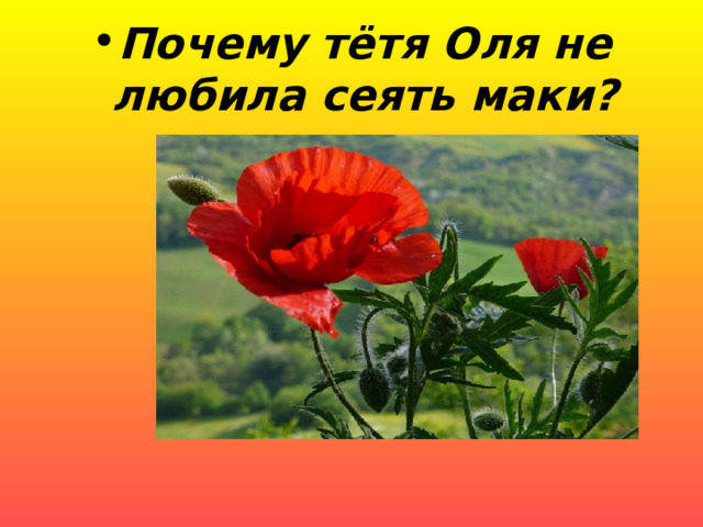Почему тётя Оля не любила сеять маки?      