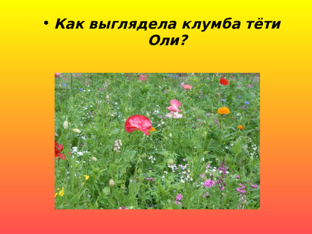 Как выглядела клумба тёти Оли? 