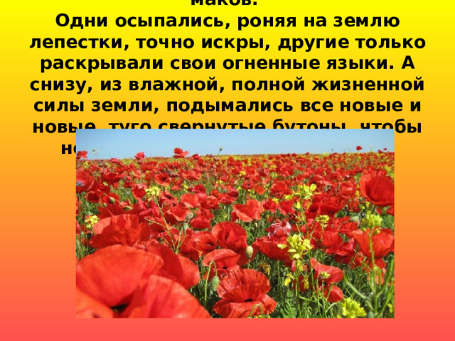 На клумбе полыхал большой ковер маков.  Одни осыпались, роняя на землю лепестки, точно искры, другие только раскрывали свои огненные языки. А снизу, из влажной, полной жизненной силы земли, подымались все новые и новые, туго свернутые бутоны, чтобы не дать погаснуть живому огню.   