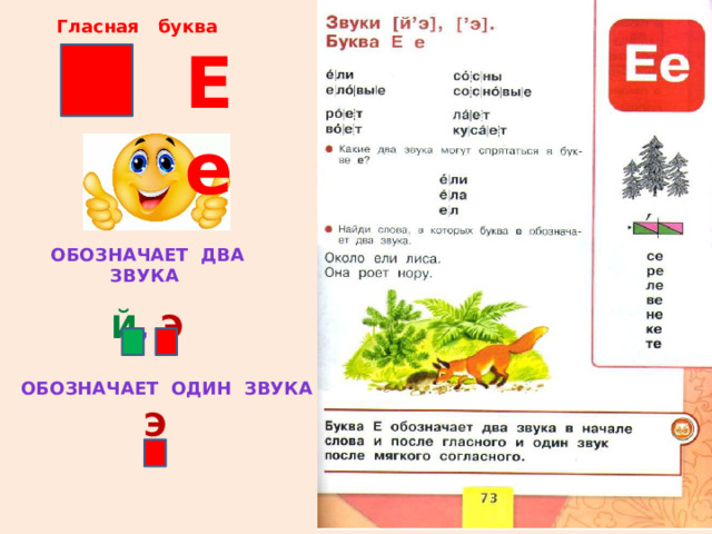 Гласная буква Е е Обозначает два звука  Й , э Обозначает один звука э 
