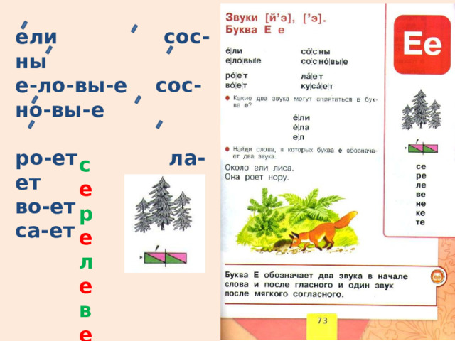 ели сос-ны  е-ло-вы-е сос-но-вы-е  ро-ет ла-ет во-ет ку-са-ет с е р е л е в е н е к е т е  