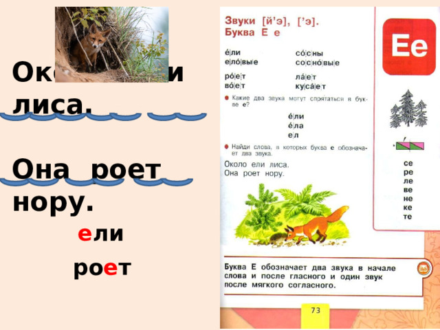 Около ели лиса.   Она роет нору.   е ли ро е т 