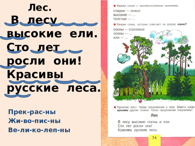Лес.  В лесу высокие ели.  Сто лет росли они!  Красивы русские леса. Прек-рас-ны Жи-во-пис-ны Ве-ли-ко-леп-ны 