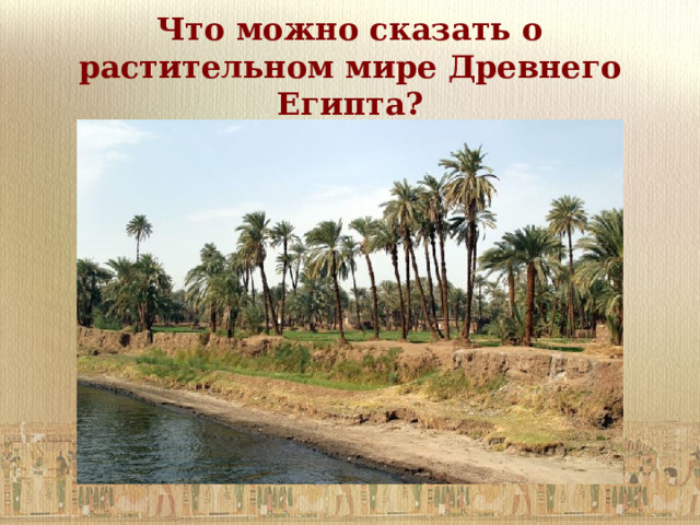 Что можно сказать о растительном мире Древнего Египта? 