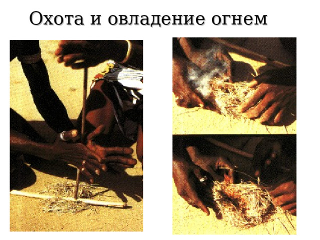 Охота и овладение огнем 