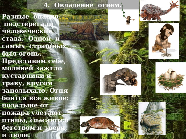 4. Овладение огнем.  Разные опасности подстерегали человеческие стада. Одной из самых страшных был огонь. Представим себе, молнией зажгло кустарники и траву, кругом заполыхало. Огня боится все живое: подальше от пожара улетают птицы, спасаются бегством и звери, и люди. Как человек овладел огнем? Этого никто не знает.   