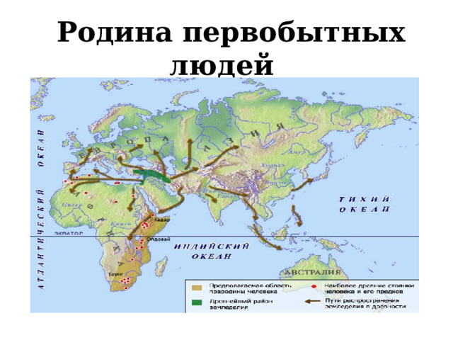  Родина первобытных людей 