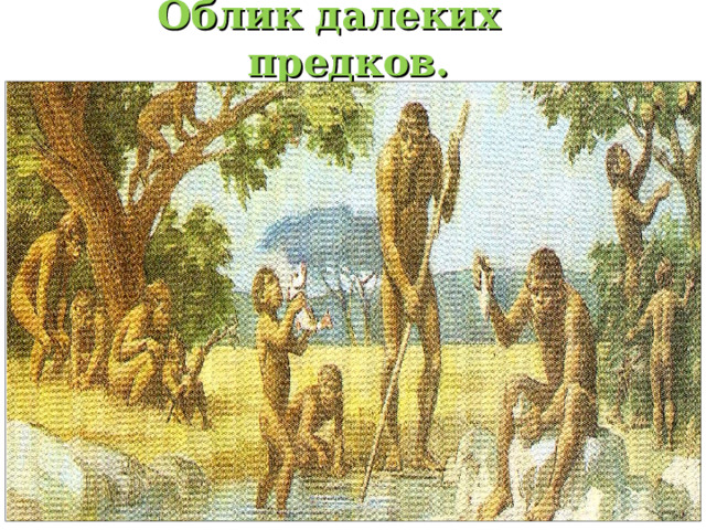 Облик далеких предков. 