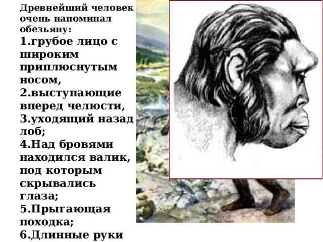 Древнейший человек очень напоминал обезьяну: грубое лицо с широким приплюснутым носом, выступающие вперед челюсти, уходящий назад лоб; Над бровями находился валик, под которым скрывались глаза; Прыгающая походка; Длинные руки до колен; Не умели разговаривать.   