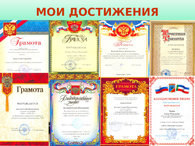 МОИ ДОСТИЖЕНИЯ 