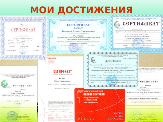 МОИ ДОСТИЖЕНИЯ 