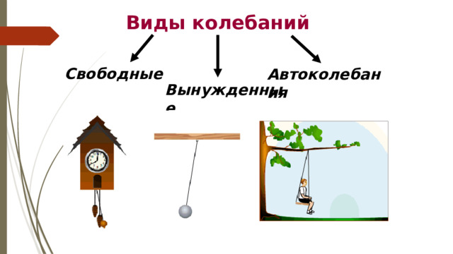 Виды колебаний Свободные Автоколебания  Вынужденные 