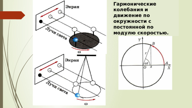 Гармонические колебания и движение по окружности с постоянной по модулю скоростью. 