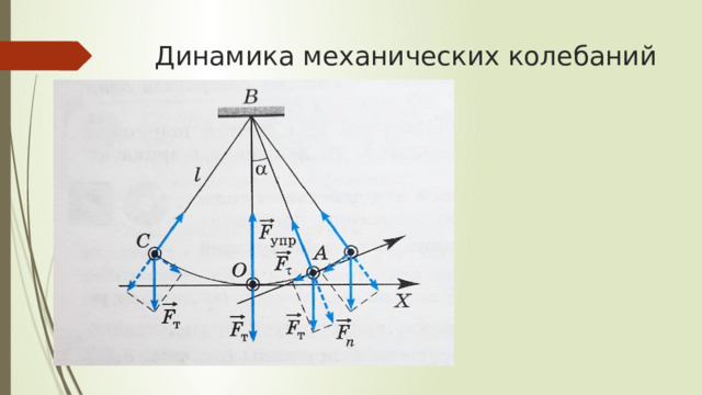Динамика механических колебаний 