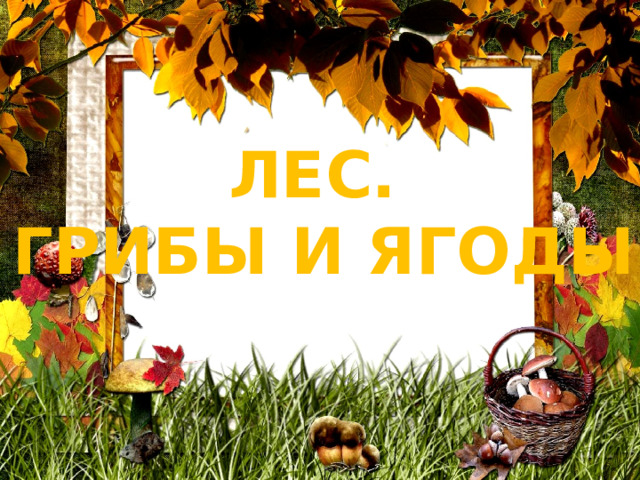 ЛЕС. ГРИБЫ И ЯГОДЫ 