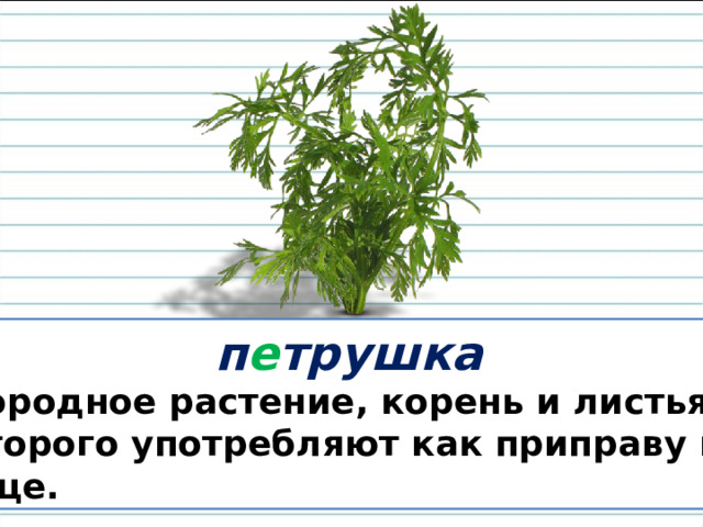  п е трушка Огородное растение, корень и листья которого употребляют как приправу к пище. 