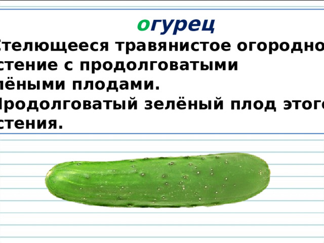  о гурец Стелющееся травянистое огородное растение с продолговатыми зелёными плодами. Продолговатый зелёный плод этого растения. 